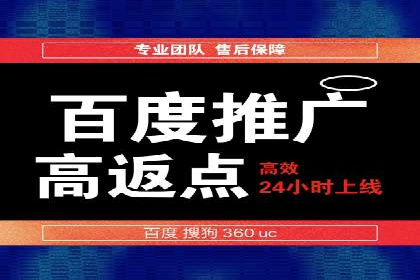 实战案例：如何利用百度推广拓展市场份额